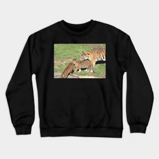 Tiger Family Crewneck Sweatshirt